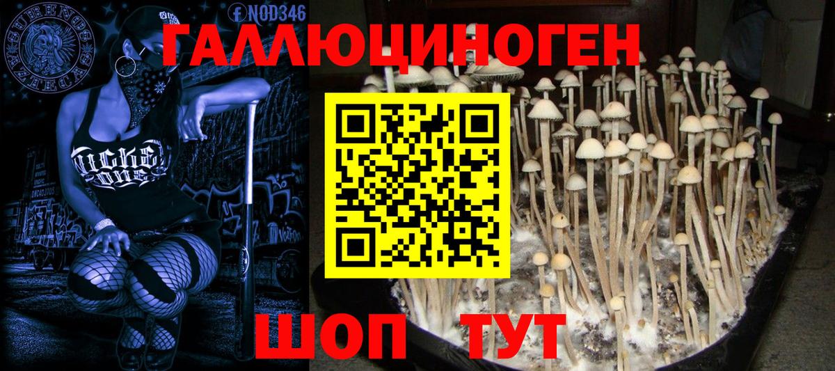Ипатово  Галлюциногенные грибы GOLDEN TEACHER  Вход с VPN 